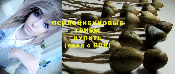 амф Вязьма