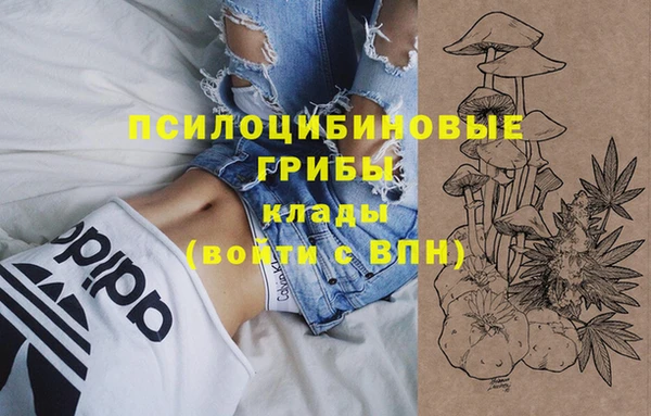 амф Вязьма