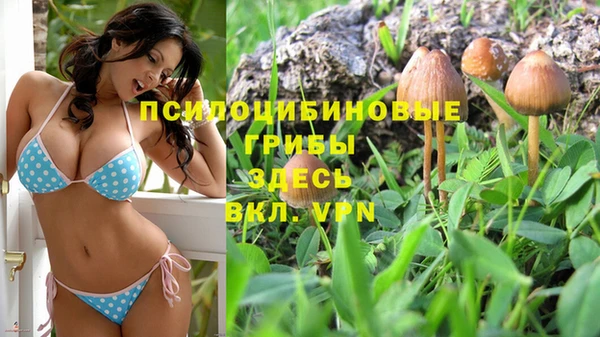 амф Вязьма