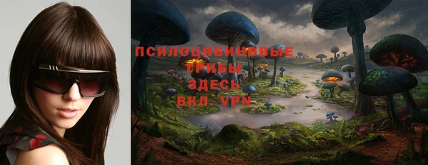 mdpv Горняк